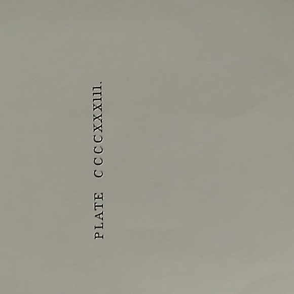 Bird print from the milwaukee public library. - Picture 6 of 8